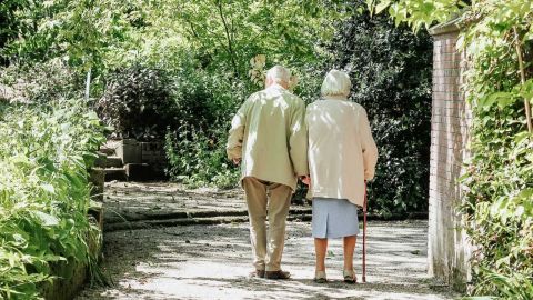 An elderly couple walking along a tree-lined path.