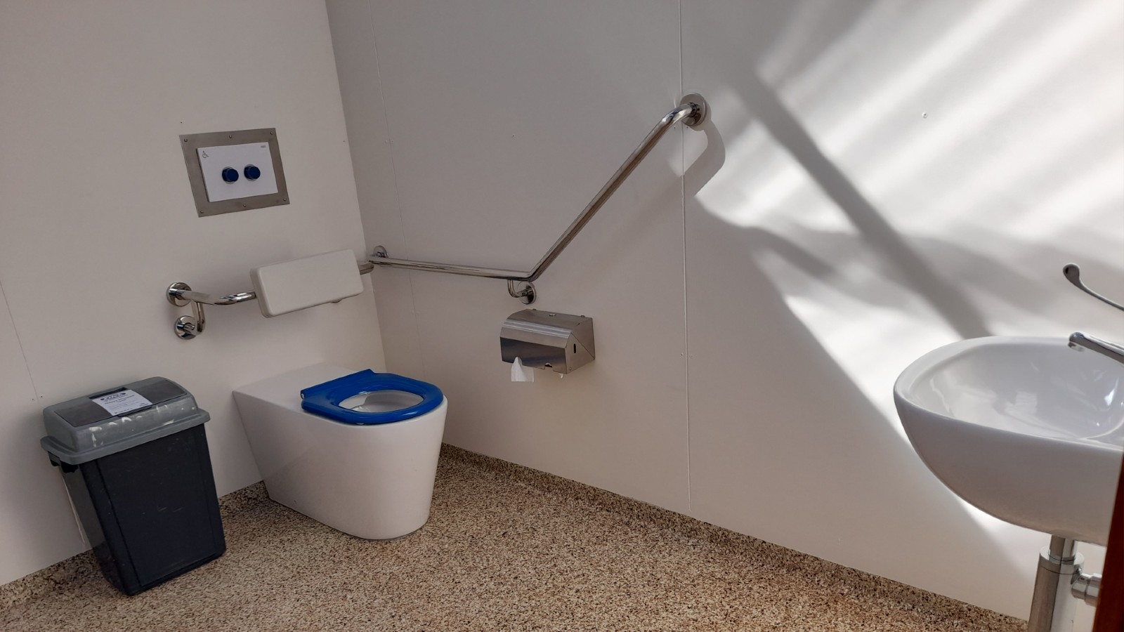 Image An accessible toilet cubicle.
