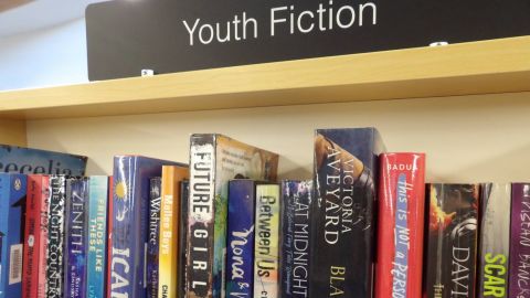 Photo of youth fiction books in the library.
