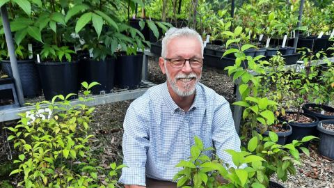 Eurobodalla Regional Botanic Garden  manager Michael  Anlezark with  critically endangered Rhodamnia rubescens.