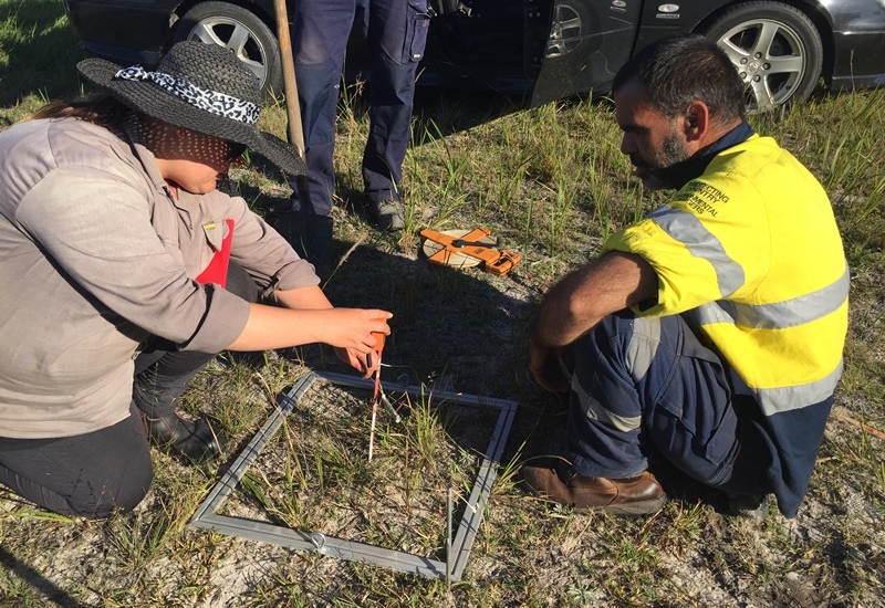 Archaeological test pitting on airport redevelopment lands