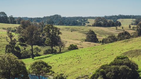 Landscape shot of rolling green hills.