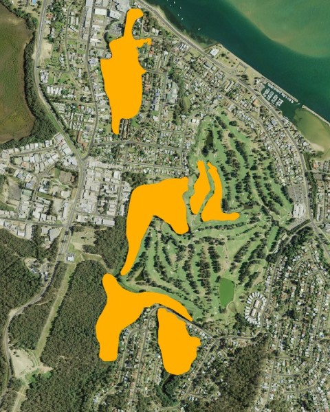 Click to open a larger image of the map showing the extent of the flying-fox camps at their peak in April 2016