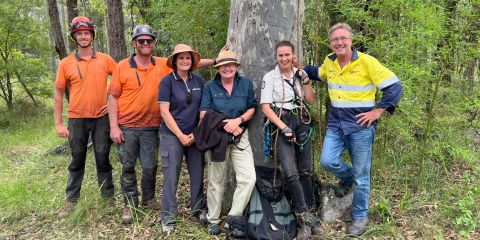 Six people pose in front of a lovely tree in bushland, one with climbing ropes.