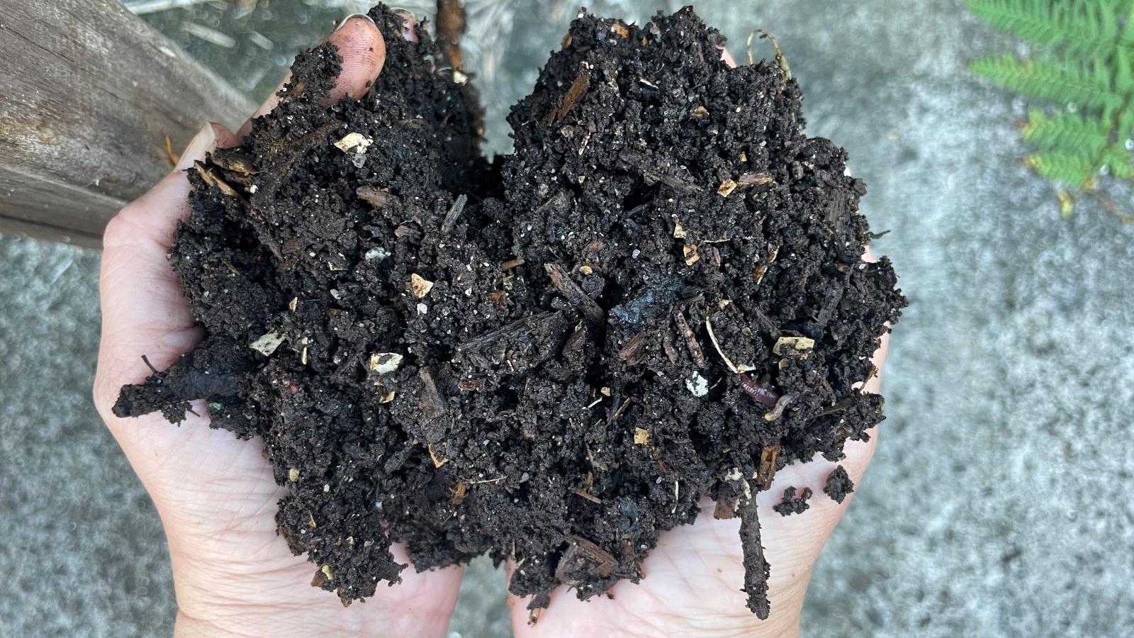 Nature - compost, dirt, worms