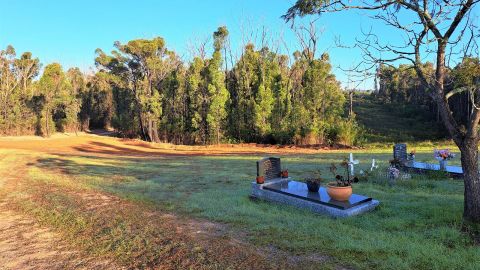 Two graves in cemetary lawn with dirt road around and trees in background