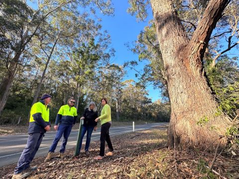 Council’s Zach McAnally, Tom Towers and Courtney Fink-Downes with WIRES volunteer  Janelle Renes beside the virtual fence at Blairs Road, Long Beach