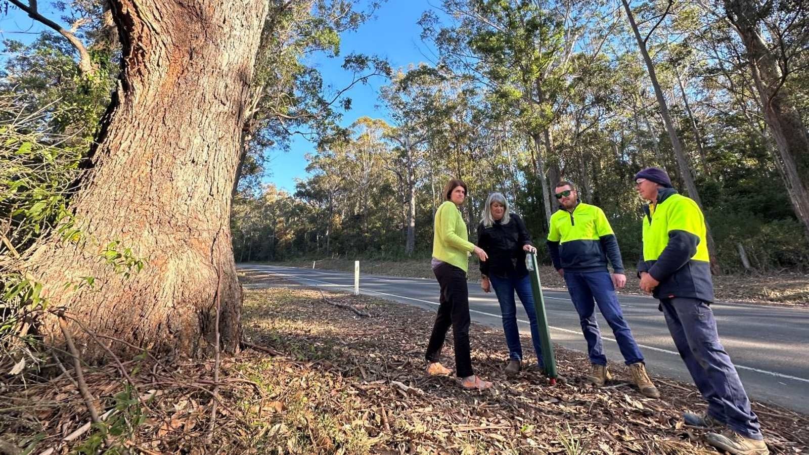 Four Council workers standing around a post alongside the road and next to a large tree  banner image