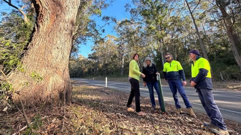 Four Council workers standing around a post alongside the road and next to a large tree 