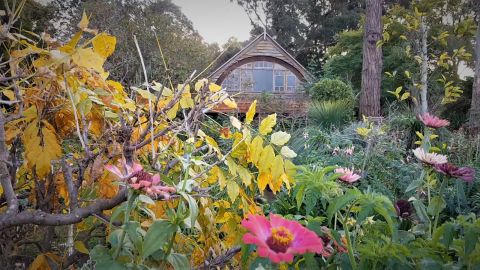 Garden flowers in the foreground with quaint village house in the background