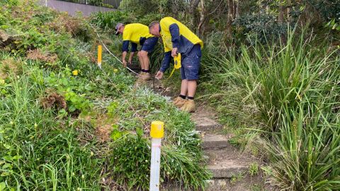 Two workmen measure some stairs.