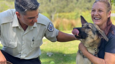 A man on left patting a dog in the middle being held by a woman 