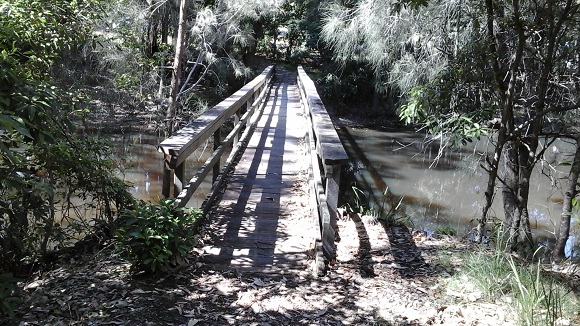 Image A footbridge stretches above the water through the forest