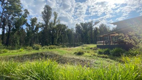 Sun shines on a green space, with modern building to right of frame.