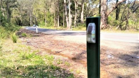 Green post with light on roadside in forest