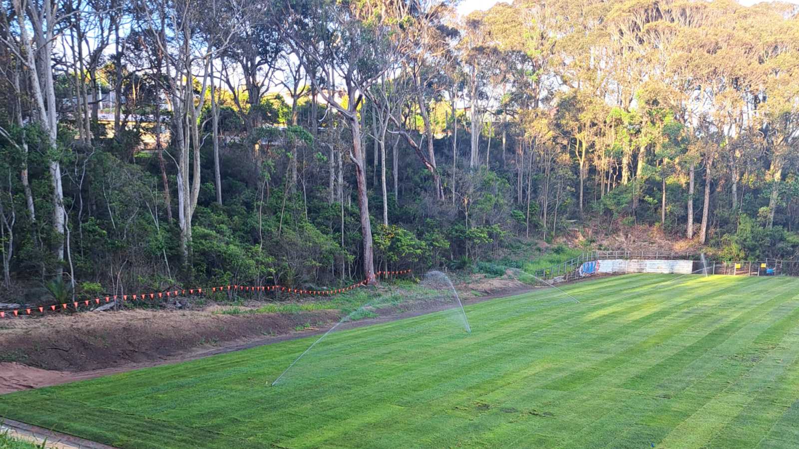 Image Sprinklers are watering freshly laid instant turf.