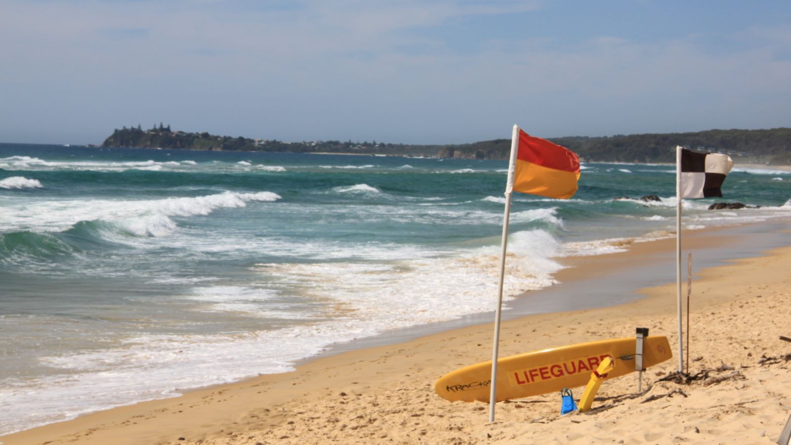 Red and yellow lifeguard flags at Tuross Beach banner image