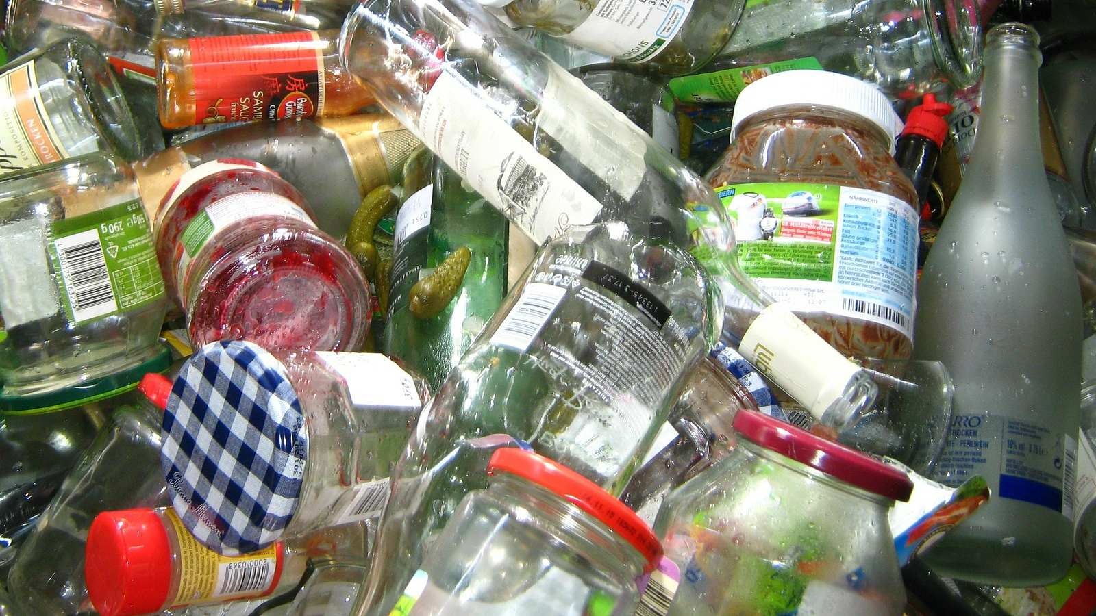 Bin and recycling FAQ